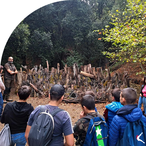 Gruppo delle persone nel bosco